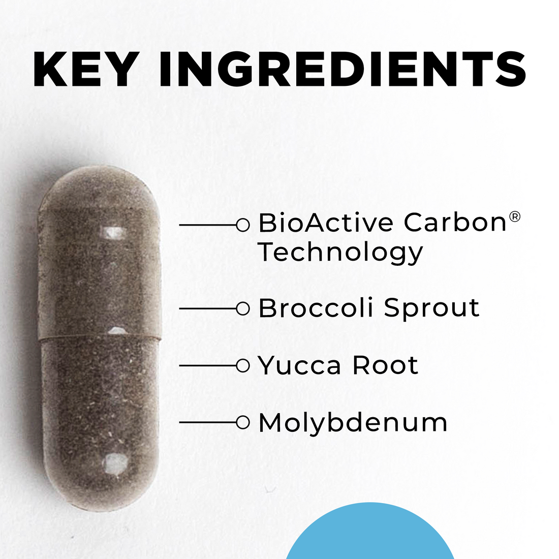 BioToxin Binder Key Inredients